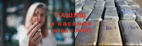 индика Алзамай