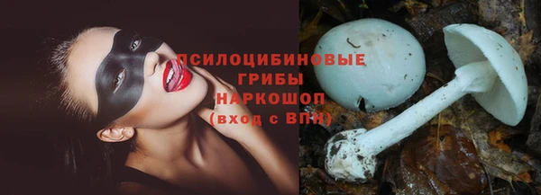 марихуана Абаза