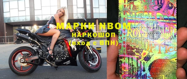 индика Алзамай