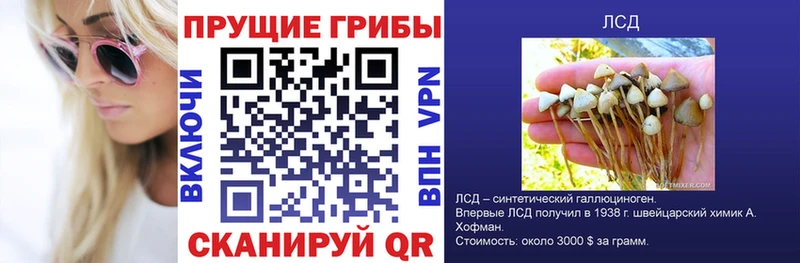 магазин    Талдом  Галлюциногенные грибы MAGIC MUSHROOMS 