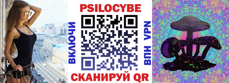 Псилоцибиновые грибы Magic Shrooms Талдом
